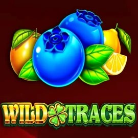 Wild Traces logo by Amusnet Interactive Boomzino Casino